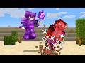Why I RULED My Hater S Minecraft SMP