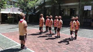 Download lagu Lomba Pramuka Siaga - PBB mp3 Download lagu Lomba Pramuka Siaga - PBB mp3