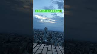 最期まで気高いヤツだった（物理的に）🏙️ #おすすめ #夏 #セミ