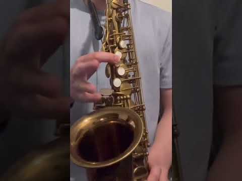 1960 Selmer Mark VI Alto Saxophone - Original Lacquer, Fresh Overhaul! image 13