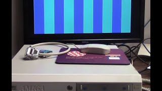 I Broke the Amiga 4000 ssd with a library?