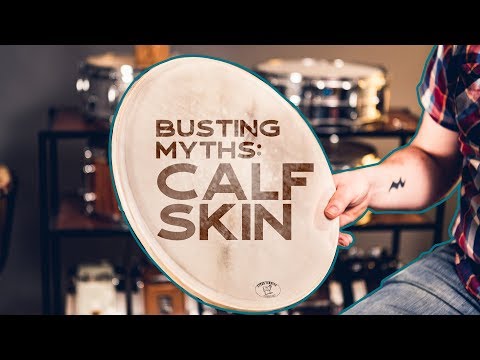 Ep. 3 The Truth About Calf Skin Drumheads