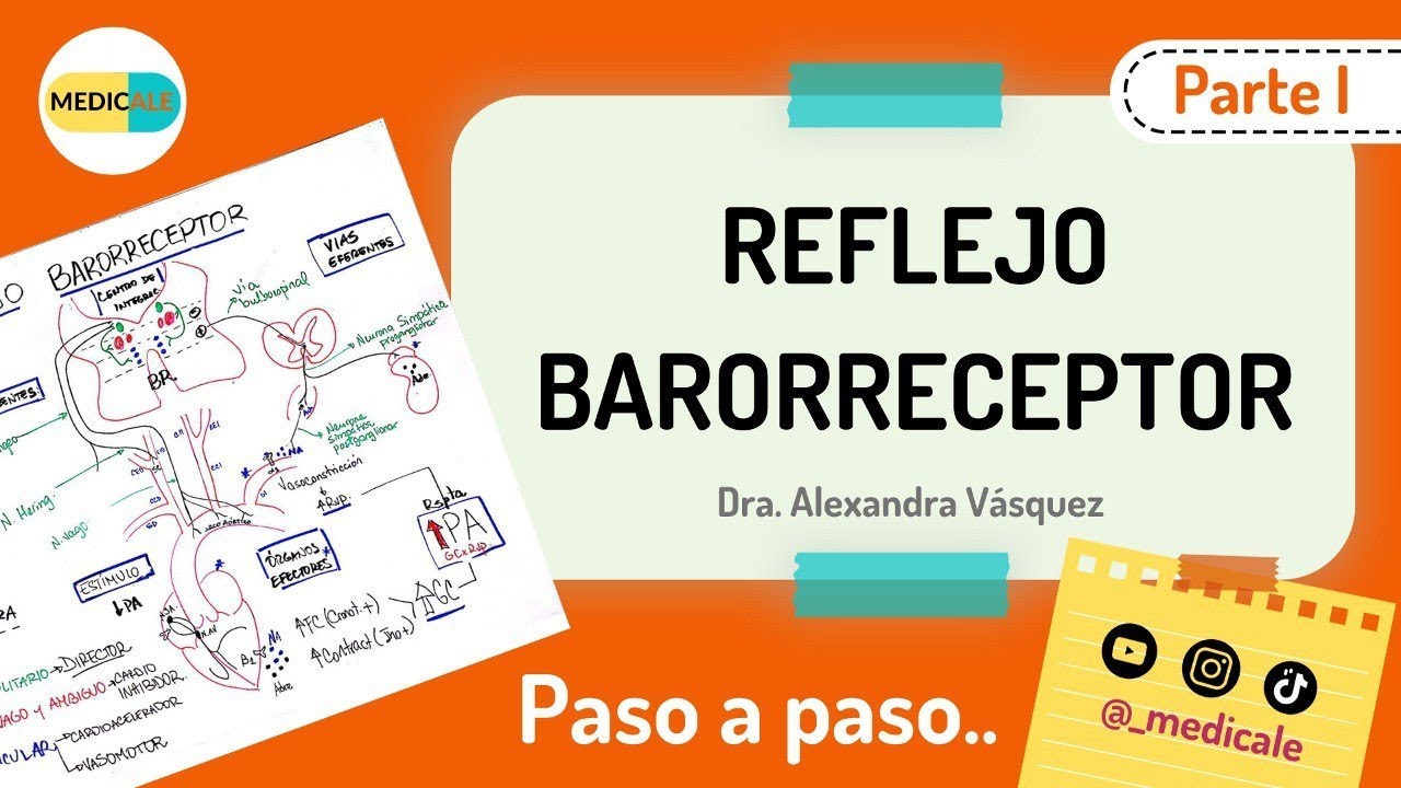Reflejo Barorreceptor - Paso a paso ¡MUY FÁCIL! PARTE 1