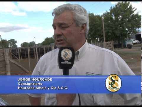 JORGE HOURCADE - Consignatario - Hourcade Albelo y Cía. S.C.C. - Rauch - 28/01/2014