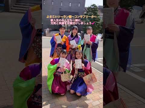 よさこい　コンサフリーク　を紹介します