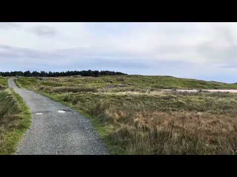 Avaldsnes 2025 - The Viking Farm