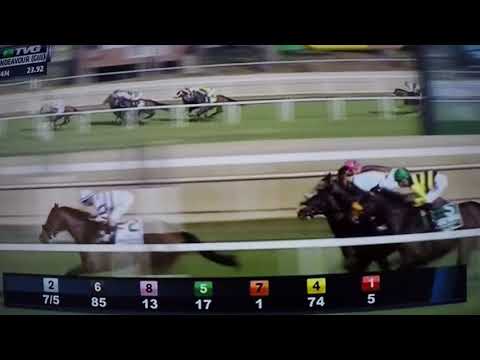 LAMBHOLM SOUTH ENDEAVOUR (G 2)STAKES 2/10/18 - DONA BRUJA !!!