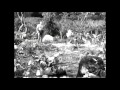 Tarzan And The Amazons 1945 Quicksand Scene