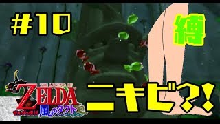 【縛りプレイ】足だけでクリアする/ゼルダの伝説 風のタクト【実況】Part10/もりのしま