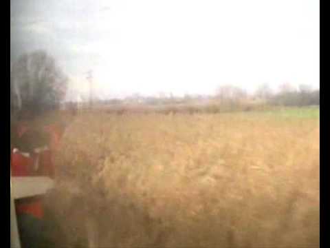 Vranovice - Pohorelice.wmv