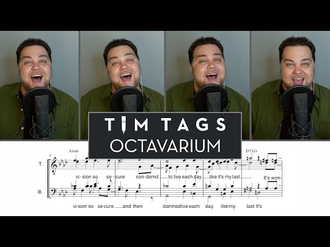 TimTag 200: Octavarium
