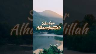 Download lagu Gratitude to Allah...🤲✨️🕊🐬#short #edit #ytviral #gratitude #allah #advice #alhamdulillah #youtuber mp3