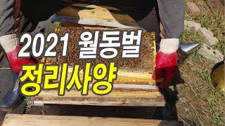 2021 월동벌 정리사양