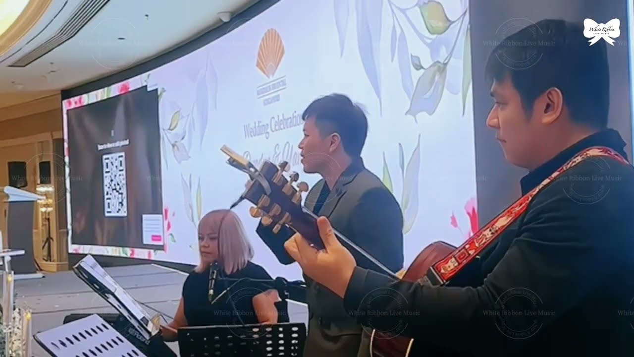 White Ribbon Live Music - Jeremy singing Dancing In the Moonlight (3 piece band)