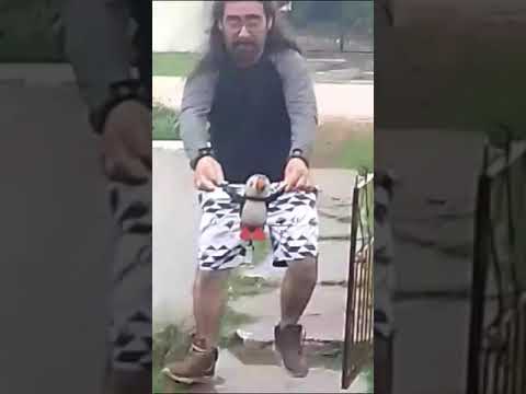 Barros Blanco Canelones Uruguay Lluvia intensa caen pingüinos