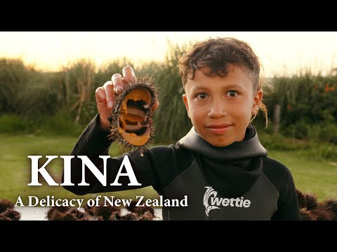 KINA | A Delicacy of New Zealand 