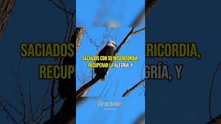 SALMO 90 | SEÑOR, DAME SABIDURÍA PARA VIVIR CADA DÍA #oraciondelamanana #oracionmatutina