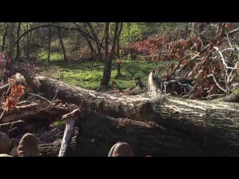 Truly Organic Turkey - Trailer