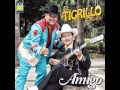 Tigrillo Palma - La Pajarera
