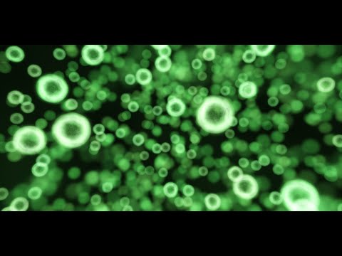 Neon Microcosm Live Wallpaper Video