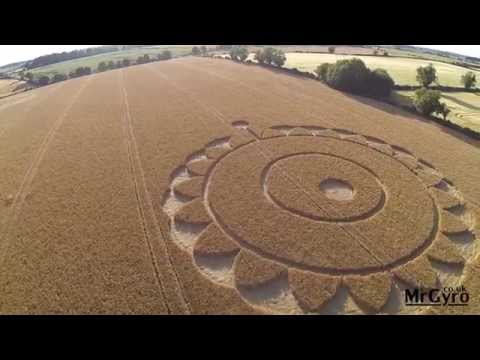 Crop Circles 2014 - Macmillan Way, nr Rodmarton, Gloucestershire