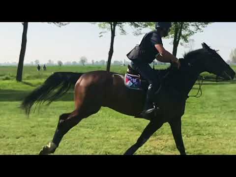 Vairano - Slow motion dalla pista