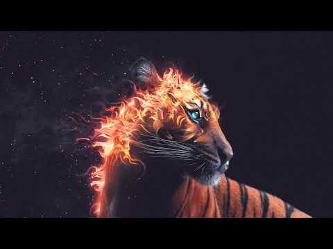 AMAZ!NG  - Burn [ no copyright ]