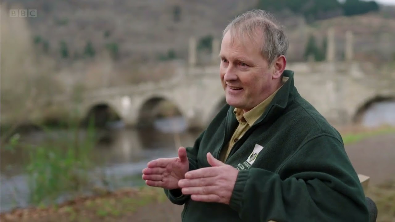 Escala 996: as empresas de tecnologia que defendem jornadas de 12 horas, 6 dias por semana