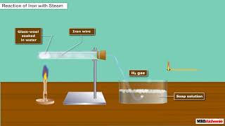 Science | Metal and Non-Metals | Reaction of Iron with Steam
