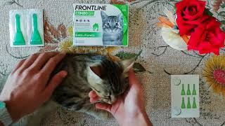 Frontline   Combo Spot On Gatti e Furetti, Frontline Combo ottima efficacia  Prodotto funzionante su