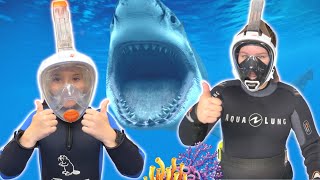 Ruby and Bonnie Diving with Sharks and Learning ab