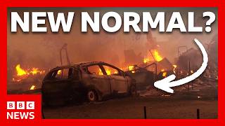 Nevada is on fire. Is this the new normal | BBC News