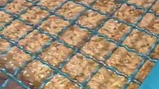 Güney Egeden | Natural Sızma Zeytinyağı (1/2)