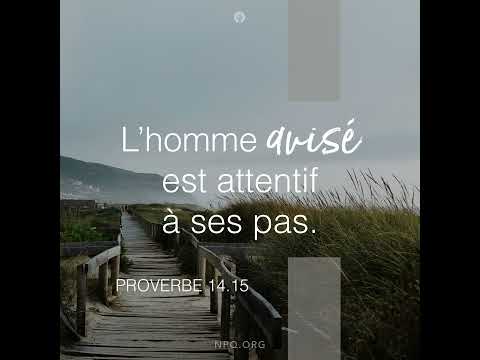 Video: Planifier prudemment