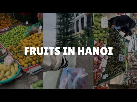 Vietnam fruit tour HANOI edition 🍉