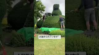 こんな株、探しても普通見つからない#NISA #新NISA #積立投資 #つみたてNISA #非課税投資 #投資入門