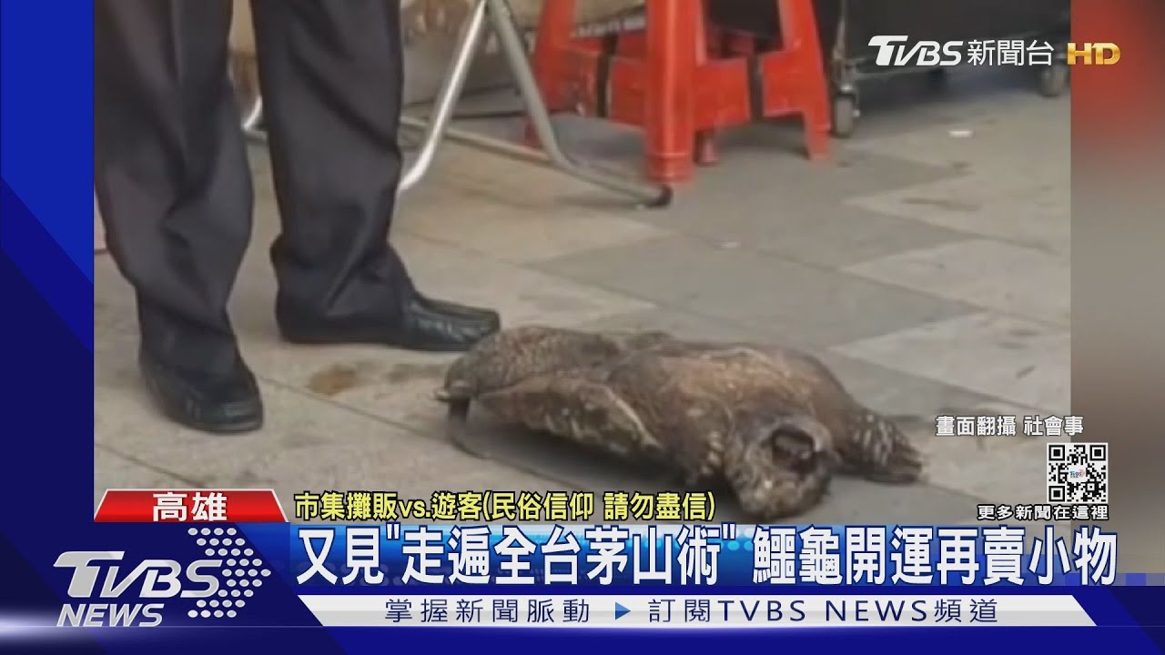 又見「走遍全台茅山術」!鱷龜施法變大 再賣開運物