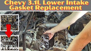Chevy 3.1L Lower Intake Gasket Replacement (Under Pushrods!) Part 1