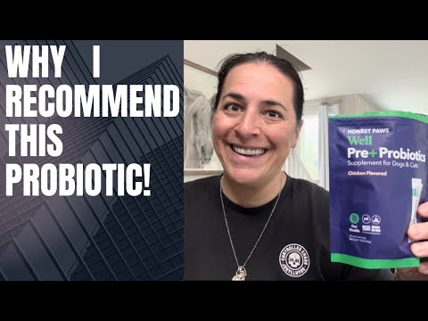 Review and Demo of Honest Paws Probiotics for Dogs
