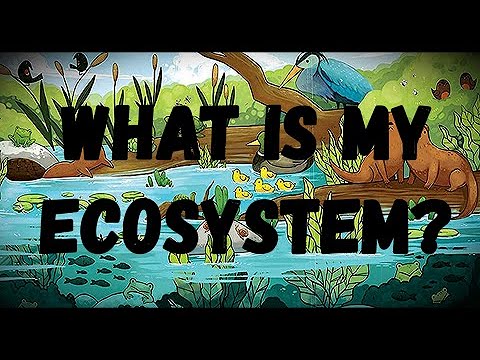 Creating Ecological Nature-Based Solutions to Urban Problems