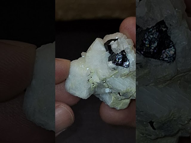 التورمالين الأسود خام مع الحاضن تحفة للإقتناء أو ا...