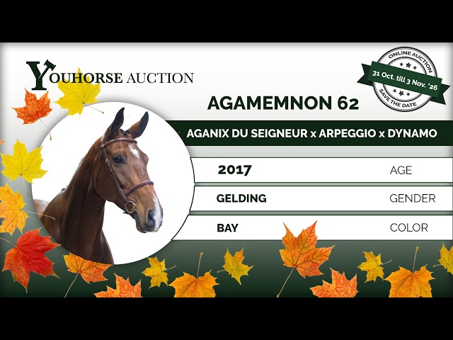 Agamemnon showvideo