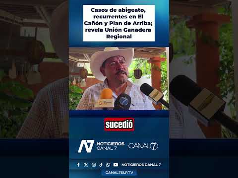 Casos de abigeato, recurrentes en El Cañón y Plan de Arriba; revela Unión Ganadera Regional #shorts
