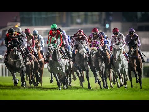 14th Race Meeting of season 2018/2019
