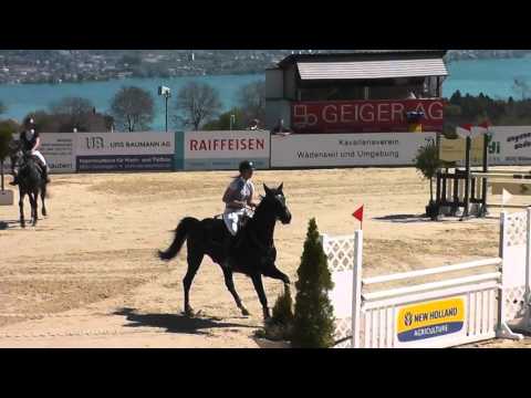 Contendro CS Wädenswil 06.05.2016 115cm Punktespringen
