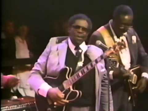 B.B. King, Stevie Ray Vaughan, Eric Clapton, Albert King, Phil Collins,...-  Why I Sing the Blues.