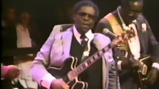 B.B. King, Stevie Ray Vaughan, Eric Clapton, Albert King, Phil Collins,...-  Why I Sing the Blues.