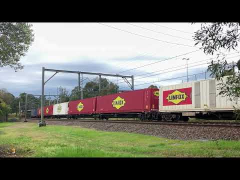 20230908_1209 5BM4 Gonarro