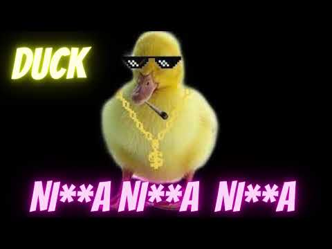 DUCK Singing Ni**a Ni**a Ni**a from Gangsta Rap (Check Description, it is really important)