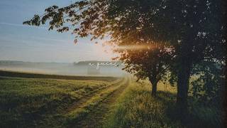 a playlist for slow walks in the tranquil park with soft music